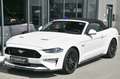 Ford Mustang Cabrio 5.0 Ti-VCT V8 GT *Carbon-Styling* Weiß - thumbnail 23