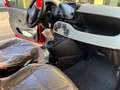 Fiat Panda Cross 1.0 Cross Hybrid Rosso - thumbnail 9