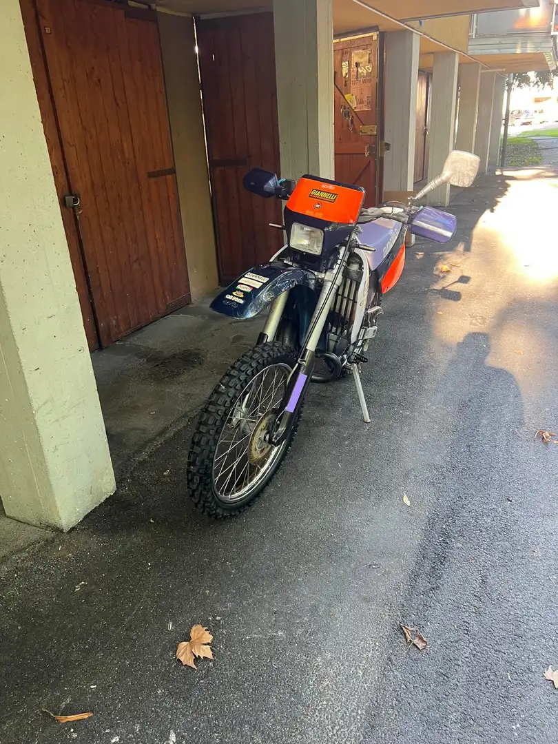 Aprilia Tuono Mauve - 2