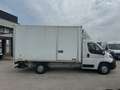 Citroen Jumper 35 L4 2.2 Bluehdi 140CV E6 p.lai sponda carico - Bianco - thumbnail 12