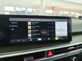 Kia Sorento Sorento 2.2 crdi Evolution 4wd dct8 Groen - thumbnail 24