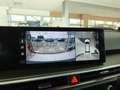 Kia Sorento Sorento 2.2 crdi Evolution 4wd dct8 Verde - thumbnail 9