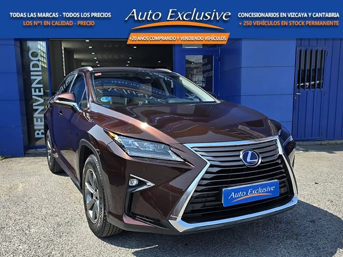 Lexus RX 450h Luxury Marrón - 1