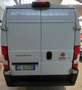 Fiat Ducato 33 2.2 Mjt 140CV PASSO MEDIO TETTO ALTO Alb - thumbnail 4