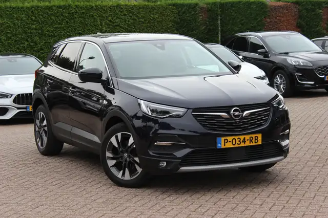Opel Grandland X view 19