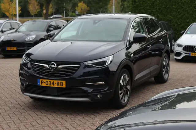 Opel Grandland X view 6