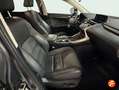 Lexus NX 300 300h Business Navigation 2WD Gris - thumbnail 11