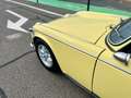 Triumph TR2 - thumbnail 19