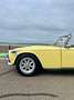 Triumph TR2 - thumbnail 15