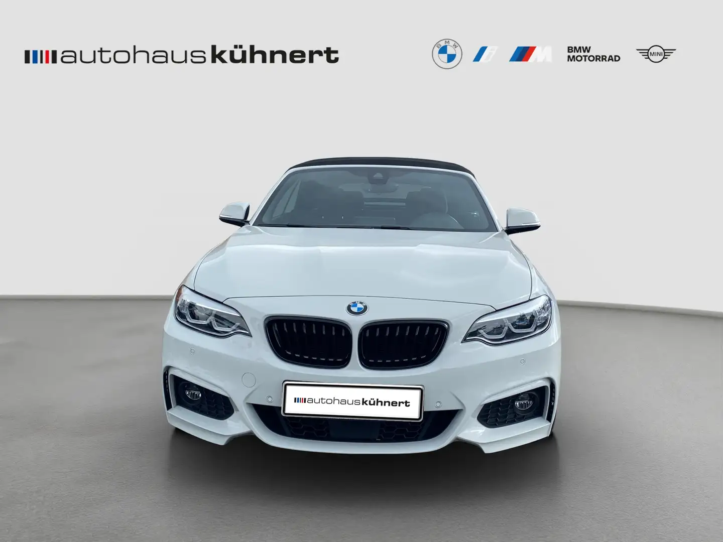 BMW 230 i Cabrio ///M-Sport ACC LED AHK HiFi H-K RFK Alb - 2