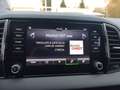 Skoda Karoq Tour AHK Digitales Cockpit LED Sperrdiff. Mehrzone Grau - thumbnail 10