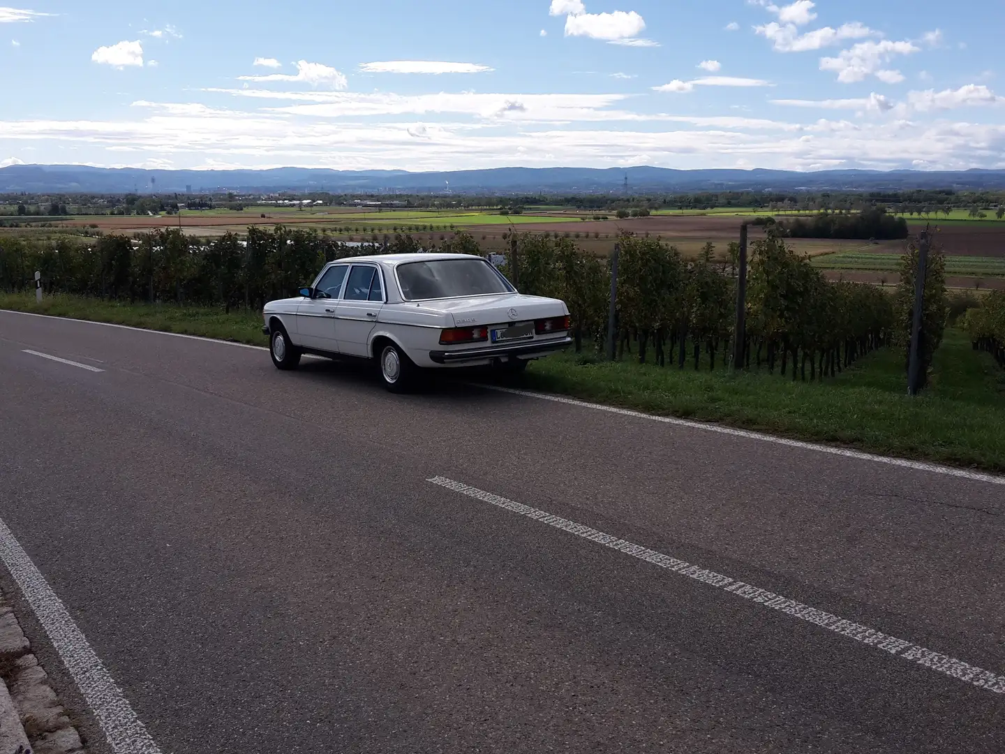 Mercedes-Benz Baureihe 123 Baureihe 123 230 E - 2