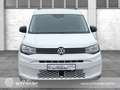 Volkswagen Caddy Caddy Kombi 2.0 TDI Klima Sitzhzg Winter PDC APP Weiß - thumbnail 8