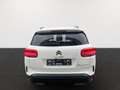 Citroen C5 Aircross BlueHDi 130 Feel Pack Automatik Weiß - thumbnail 3