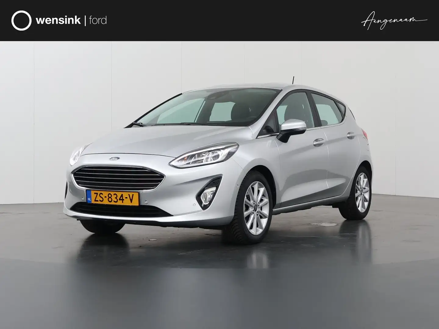 Ford Fiesta 1.0 EcoBoost Titanium | Trekhaak | Navigatie | Par Gris - 1