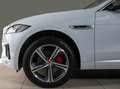 Jaguar F-Pace 3.0 V6 S AWD Navi Leder Met. Klimaautomatik 2-Zon. Weiß - thumbnail 9