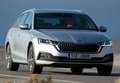 Skoda Octavia Combi 2.0 TSI RS DSG 180kW Negro - thumbnail 50