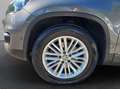 Volkswagen Tiguan TIGUAN TDI 2.0 MOTION CUP EDITION TRACK & STYLE*NA Grau - thumbnail 22