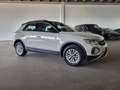 Volkswagen T-Roc 1.0 tsi Life 110cv Grigio - thumbnail 3