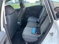 SEAT Altea Basis 1,4 LPG Weiß - thumbnail 5