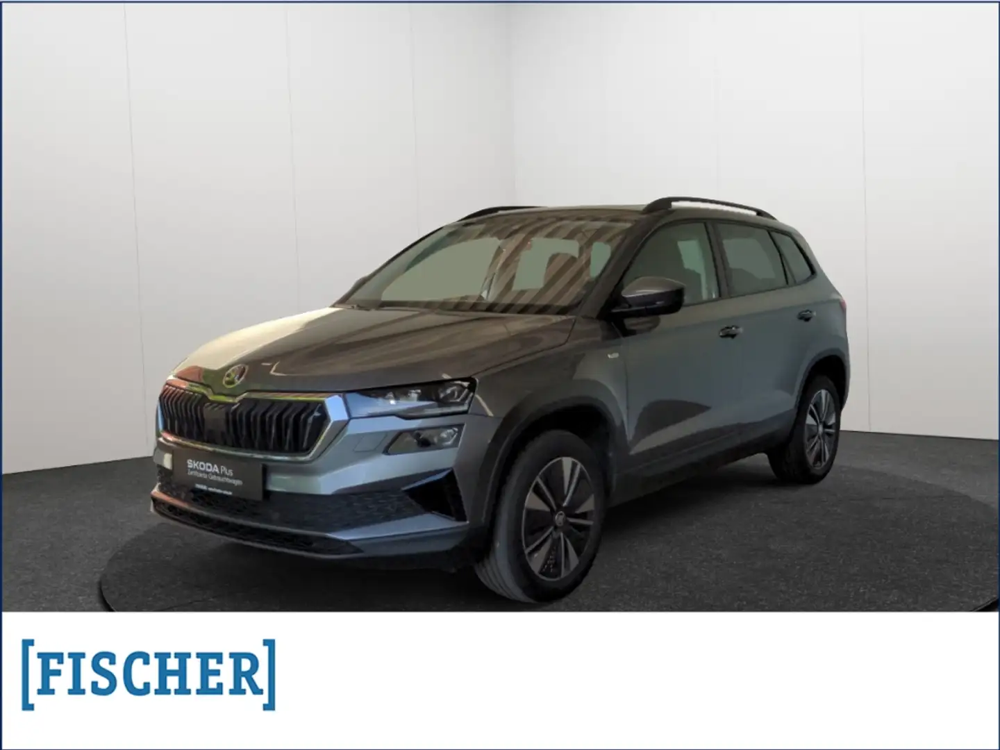 Skoda Karoq 2.0TDI Ambition Matrix Navi Rear View PDC Panorama Grau - 1