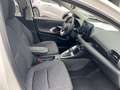 Toyota Yaris 1,5L Hybrid Business Edition Weiß - thumbnail 23