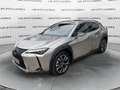 Lexus UX 250h Hybrid 4WD Executive 2.0 184cv Beige - thumbnail 1