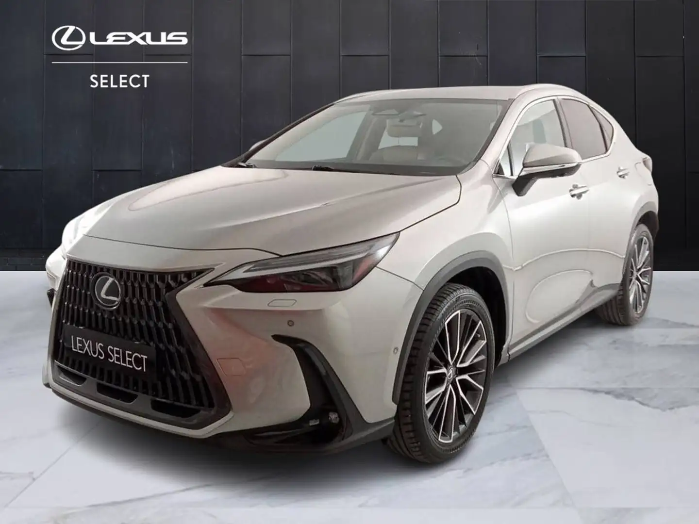 Lexus NX 450h+ NX II 2022 450h  2.5 phev Luxury 4wd 309cv e-cvt! PREZZO REALE Grau - 1