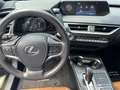 Lexus UX 300e Executive Pak+Komfort Paket Plus+Winter Groen - thumbnail 17