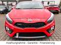 Kia ProCeed / pro_cee'd ProCeed 1.6 T-GDI, GT, Leder, Pano, Navi, Xenon Rot - thumbnail 17