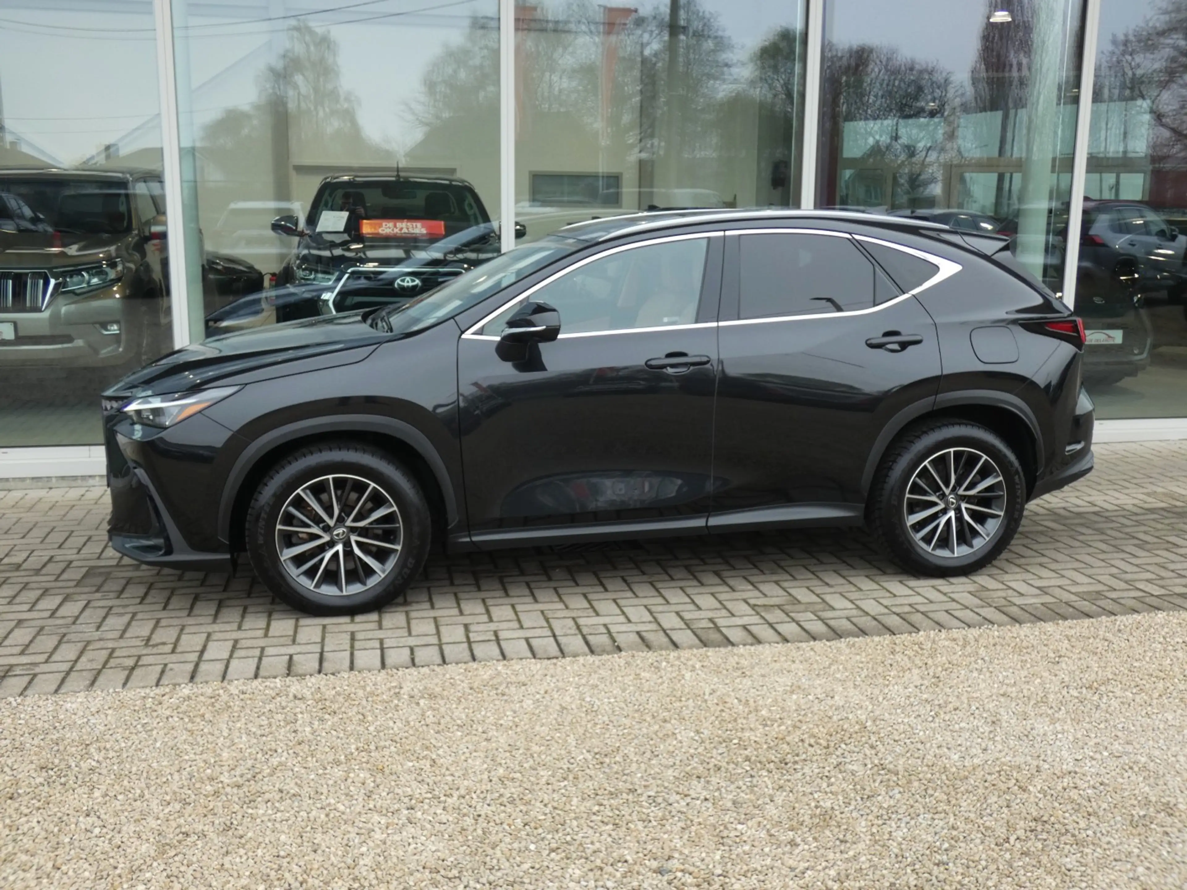 Lexus NX 450h+ Plug-in AWD Executive Line +Zetelventilatie +Leder — photo 4