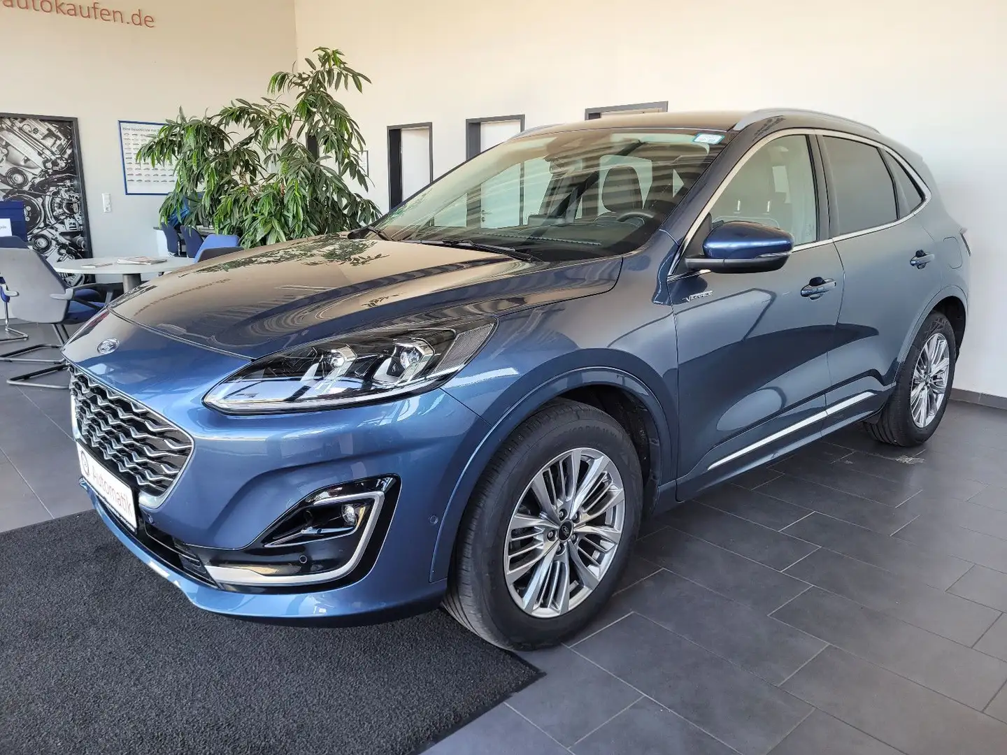 Ford Kuga EcoBlue 4x4 190PS Vignale Autom. m. ACC Bleu - 2