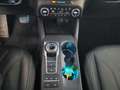Ford Kuga EcoBlue 4x4 190PS Vignale Autom. m. ACC Bleu - thumbnail 16