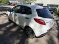 Mazda 2 1,3i CE Plus EXPORT !!! Weiß - thumbnail 6
