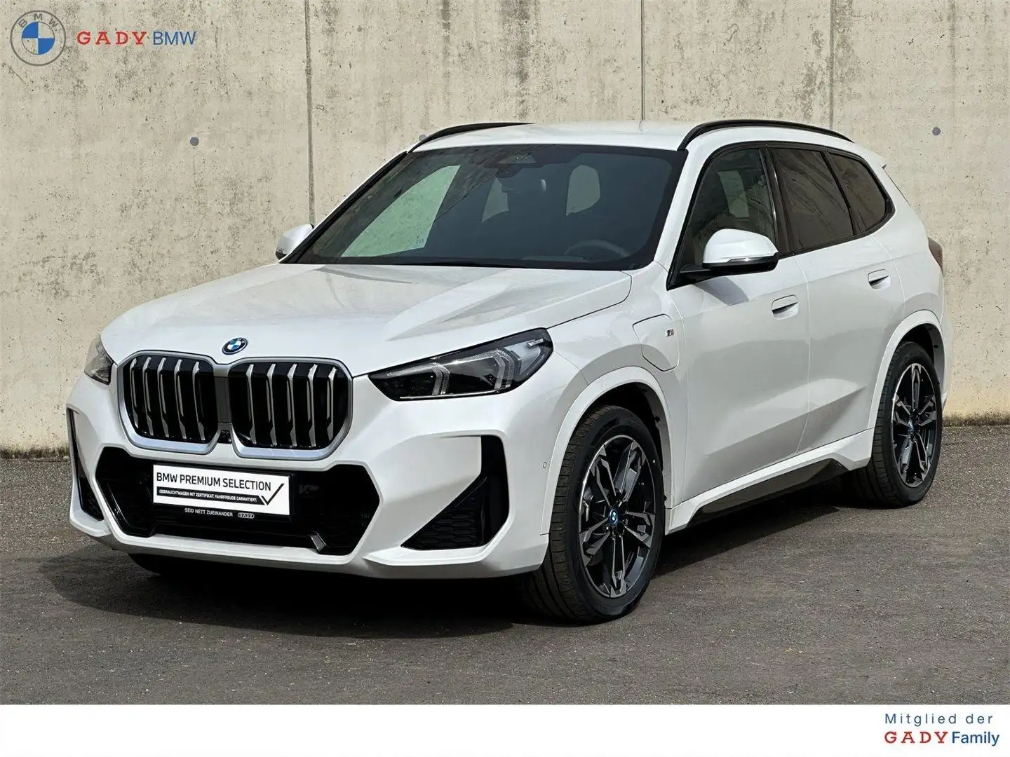 BMW X1 xDrive25e Bianco - 1