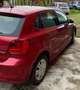 Volkswagen Polo 5p 1.4 tdi Trendline 75cv - thumbnail 4