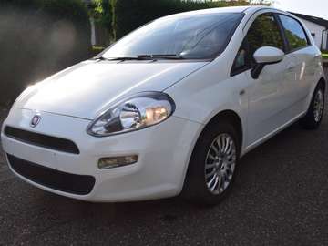 Punto 1.2i Young