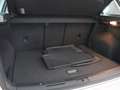 Volkswagen Golf Sportsvan 1.0 TSI Highline Edition (Afn. Trekhaak / Navi / A Grijs - thumbnail 35