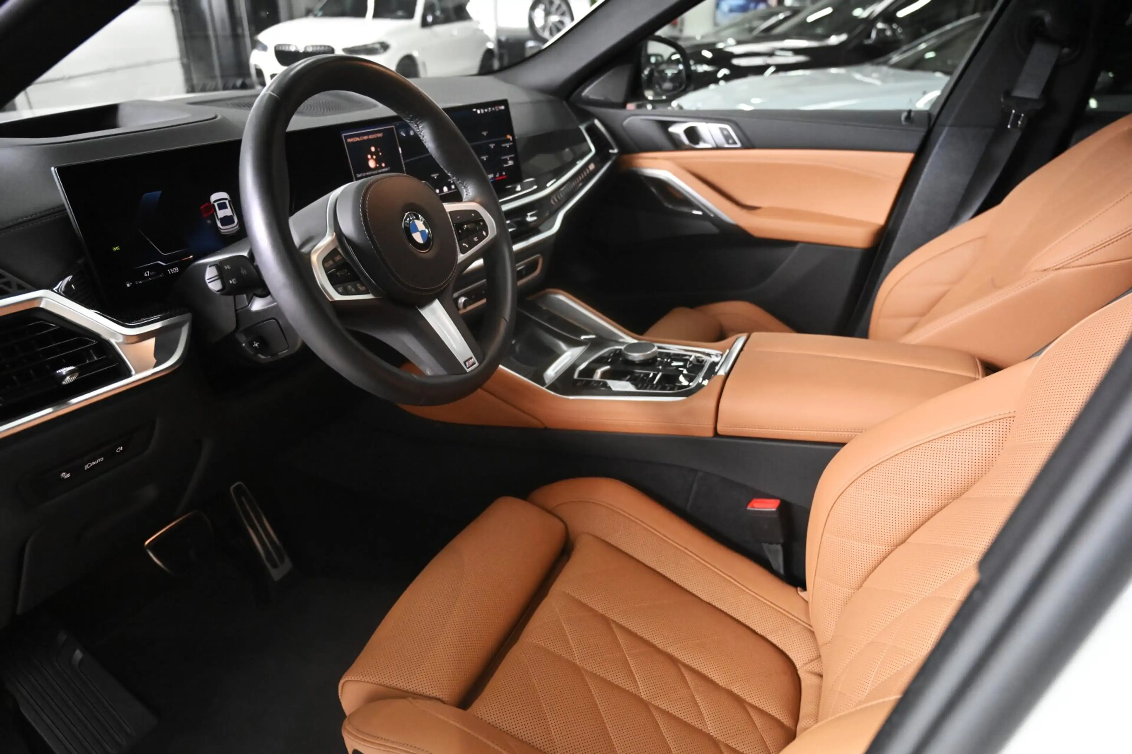 BMW X6 X6 xDrive 30d M-Sport *LUFT*SOFT-CL*INNO*H&K*22' — photo 8