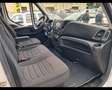 Iveco Daily 35S14NV 3.0 CNG PM-SL-TM 136CV 2022 *NETTO I Bianco - thumbnail 11