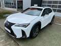 Lexus UX 250h 2.0 F- Sport Blanco - thumbnail 1