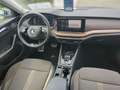 Skoda Octavia Combi 2.0 TDI DSG 4x4 Scout 1.HAND AHK NAV TRAVEL Azul - thumbnail 12