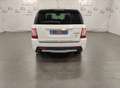 Land Rover Range Rover Sport 3.0 tdV6 Autobiography auto Bianco - thumbnail 5