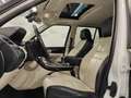 Land Rover Range Rover Sport 3.0 tdV6 Autobiography auto Bianco - thumbnail 18
