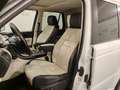 Land Rover Range Rover Sport 3.0 tdV6 Autobiography auto Bianco - thumbnail 10