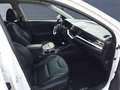 Kia Niro 1,6 T-GDI DCT Spirit PHEV GD Weiß - thumbnail 13