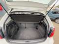 Volkswagen Polo 1.4 TDI 75CH BLUEMOTION TECHNOLOGY CONFORTLINE BUS Wit - thumbnail 13