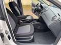 SEAT Ibiza Reference//Klima//Tempomat//5-Türig// Blanc - thumbnail 10