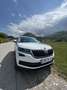 Skoda Kodiaq 2,0 TDI SCR Style Limited DSG - thumbnail 3