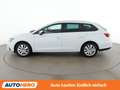 SEAT Leon 1.6 TDI Executive Weiß - thumbnail 3